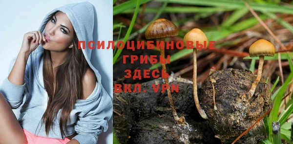 гидра Покров