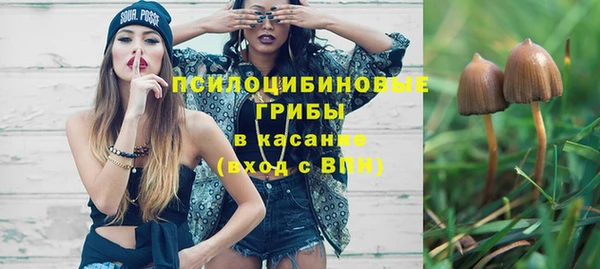 стаф Алексеевка