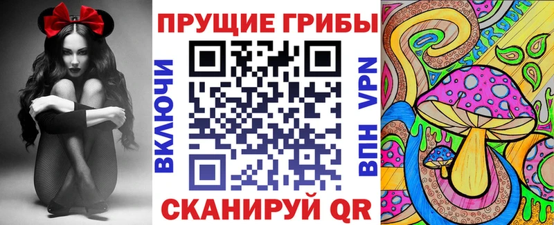 наркота Клин Псилоцибиновые грибы Psilocybe