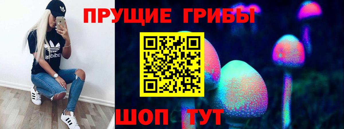 Псилоцибиновые грибы GOLDEN TEACHER  Вход с VPN  Клин 